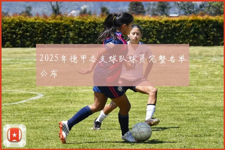 2025年德甲各支球队球员完整名单公布
