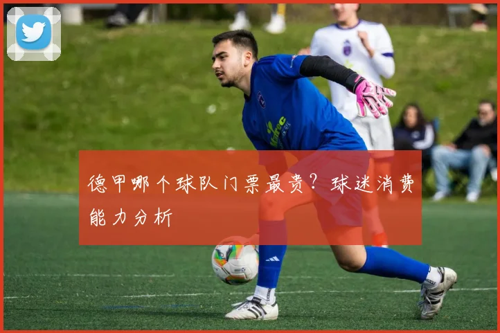 德甲哪个球队门票最贵？球迷消费能力分析