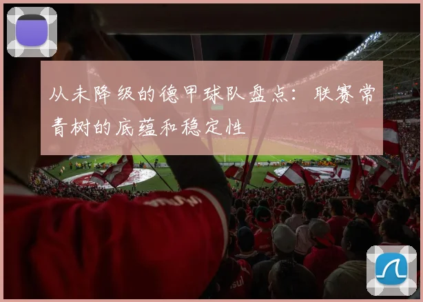 从未降级的德甲球队盘点：联赛常青树的底蕴和稳定性