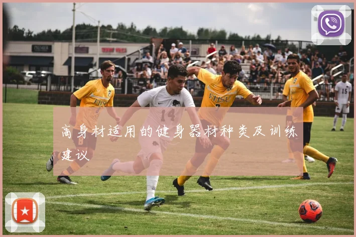 高身材适用的健身器材种类及训练建议